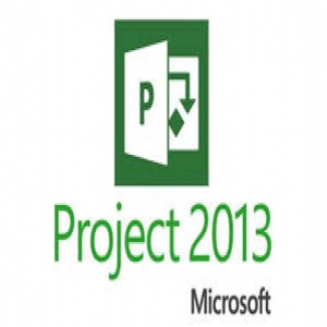 Microsoft Project 2013