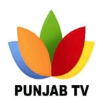 Punjab TV